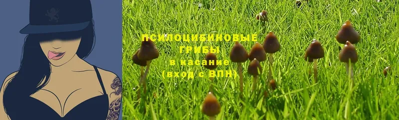 блэк спрут ONION  Красавино  Галлюциногенные грибы Psilocybine cubensis  где купить наркотик 